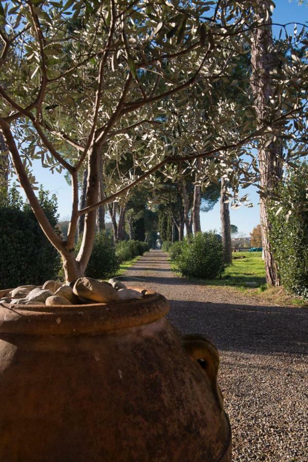 La Vecchia Cantina Guzzardi Лари Экстерьер фото